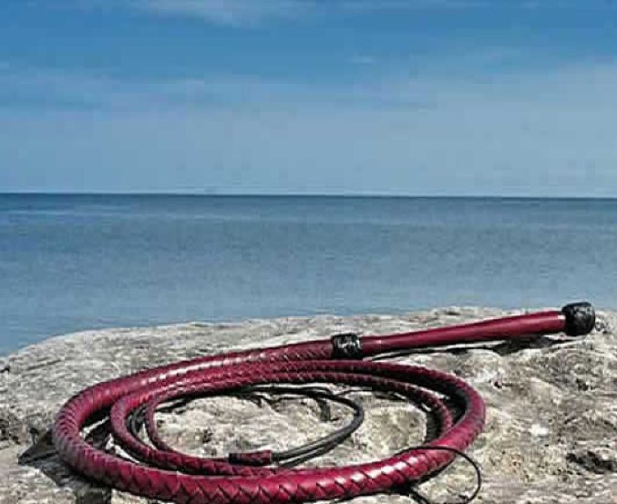 Red hide Bullwhip picture